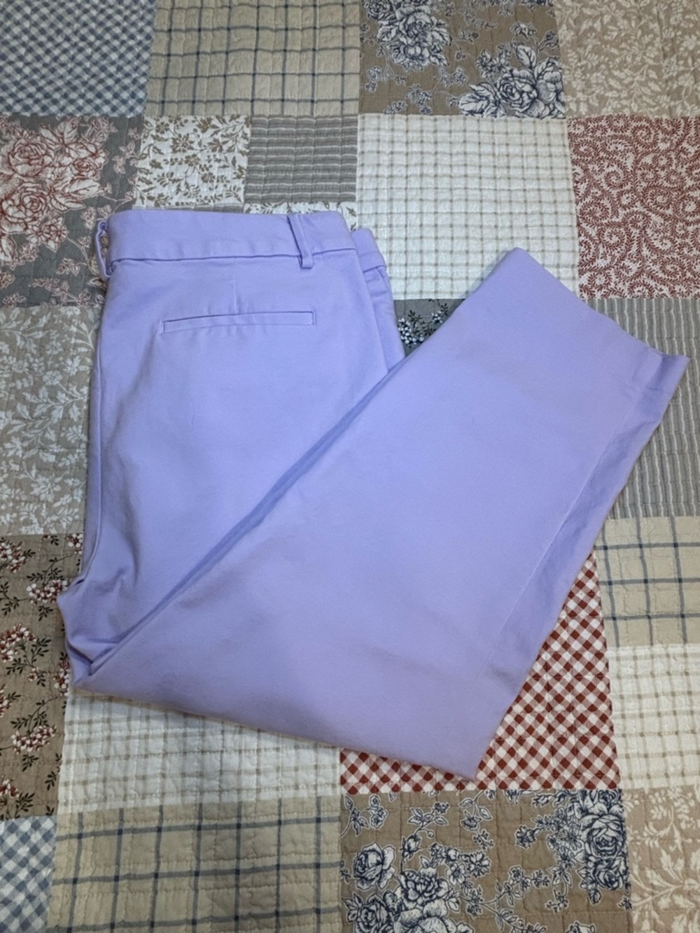 LOFT Men's Lilac Chino Pants
